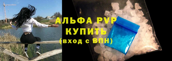 сатива Вяземский