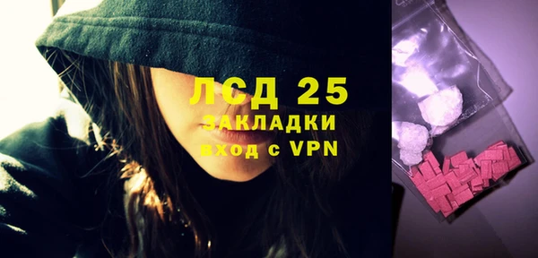 сатива Вяземский