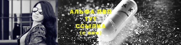 сатива Вяземский
