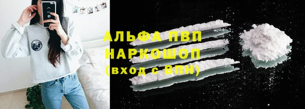 сатива Вяземский