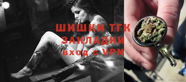 сатива Вяземский
