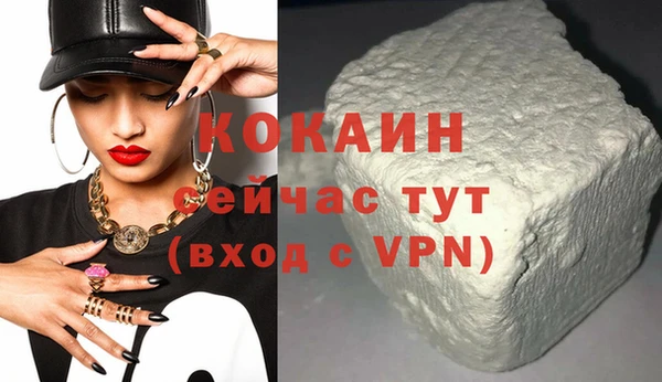 сатива Вяземский