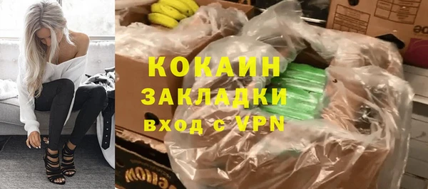 сатива Вяземский