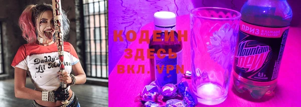 сатива Вяземский