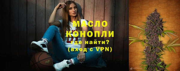 сатива Вяземский